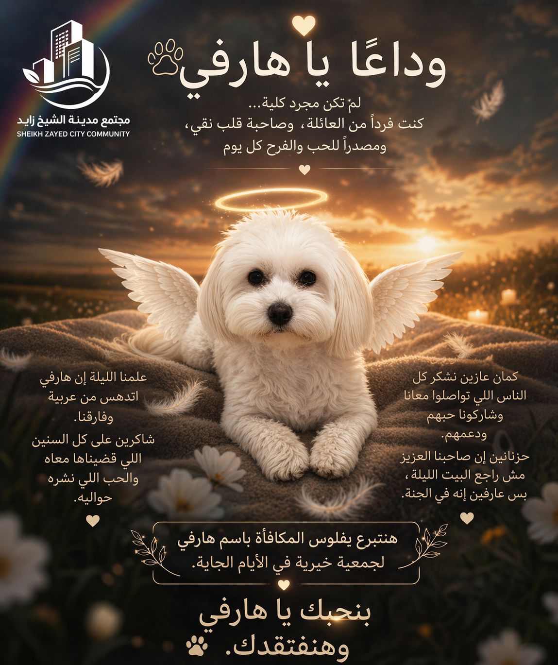 الكلب هارفي الكلب هارفي